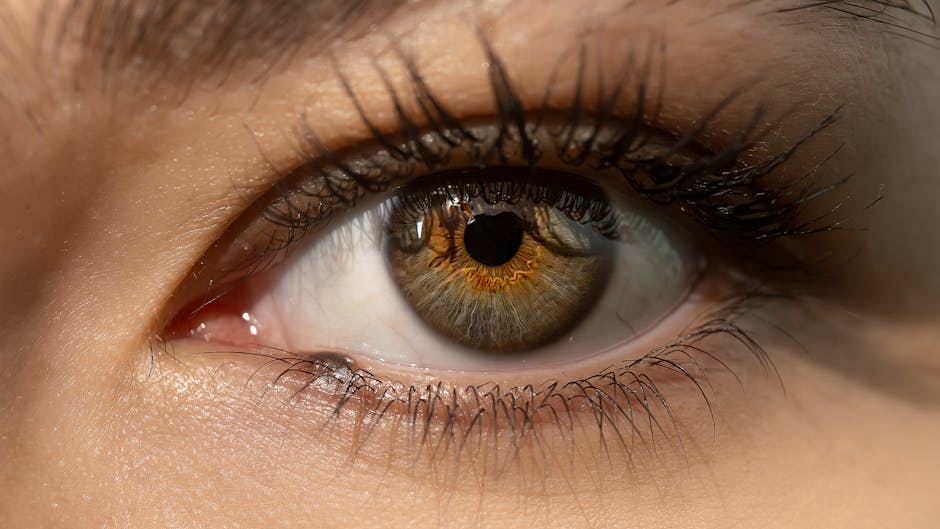 Best Mascaras of 2026: 8 Tested Picks for Every Lash Goal